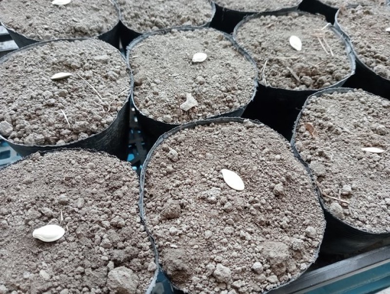 脱サラ初めての収入はわずか100円