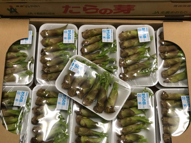 旬の野菜や山菜