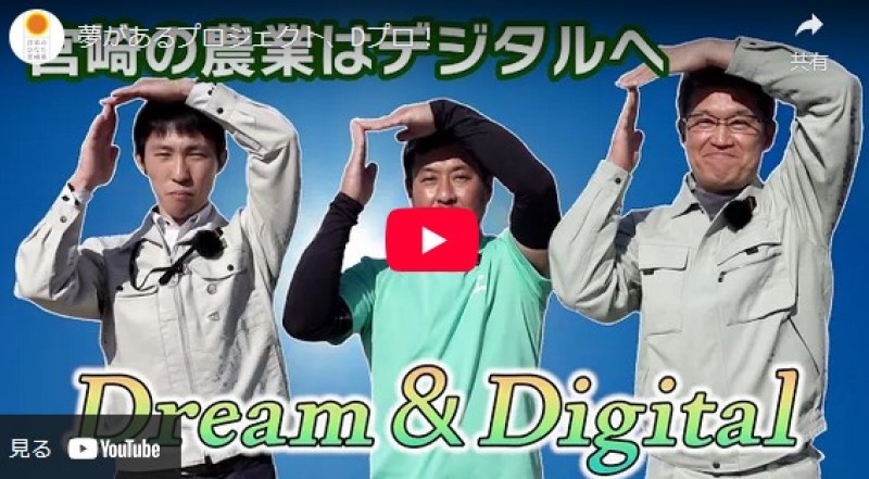 宮崎県の取り組み