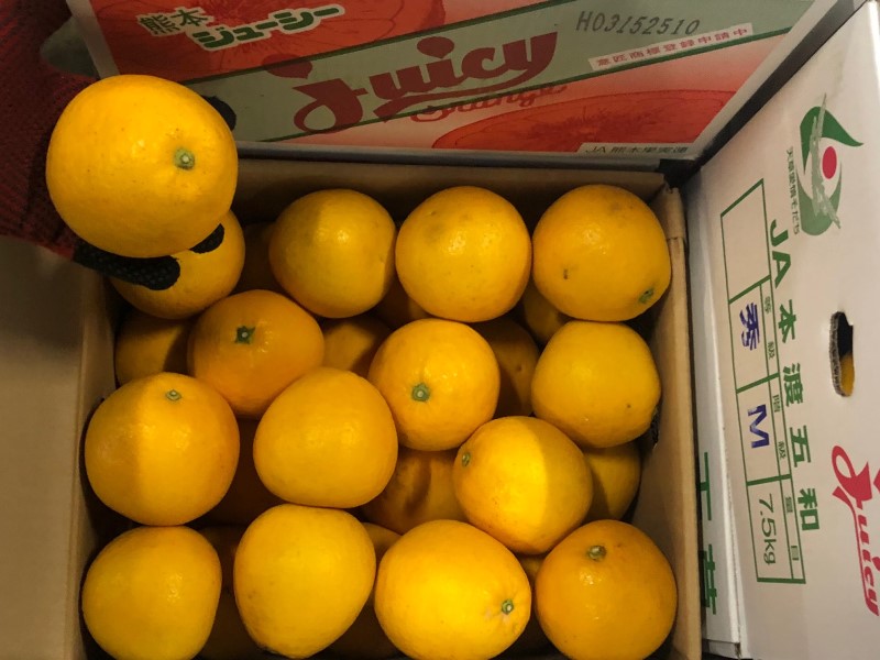 ジューシーオレンジ