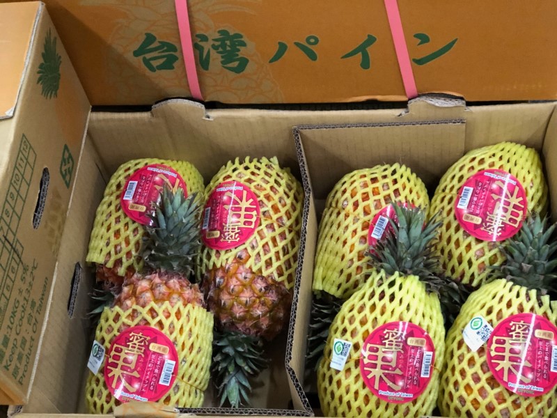 台湾パイン