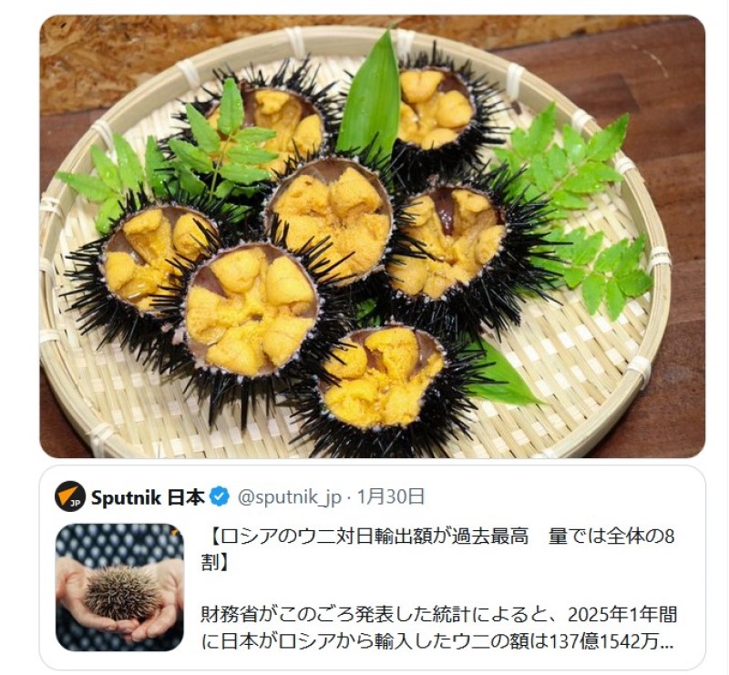 ロシア産ウニ