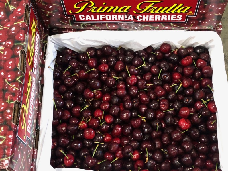 アメリカンチェリー