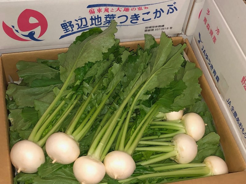 野辺地葉つきこかぶ
