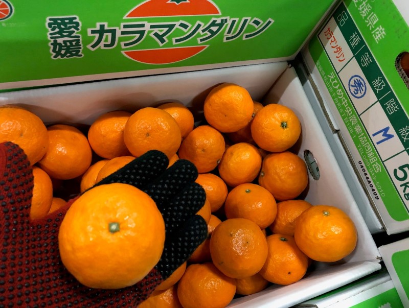 カラマンダリン
