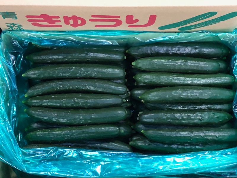 ハウス栽培の佐藤錦