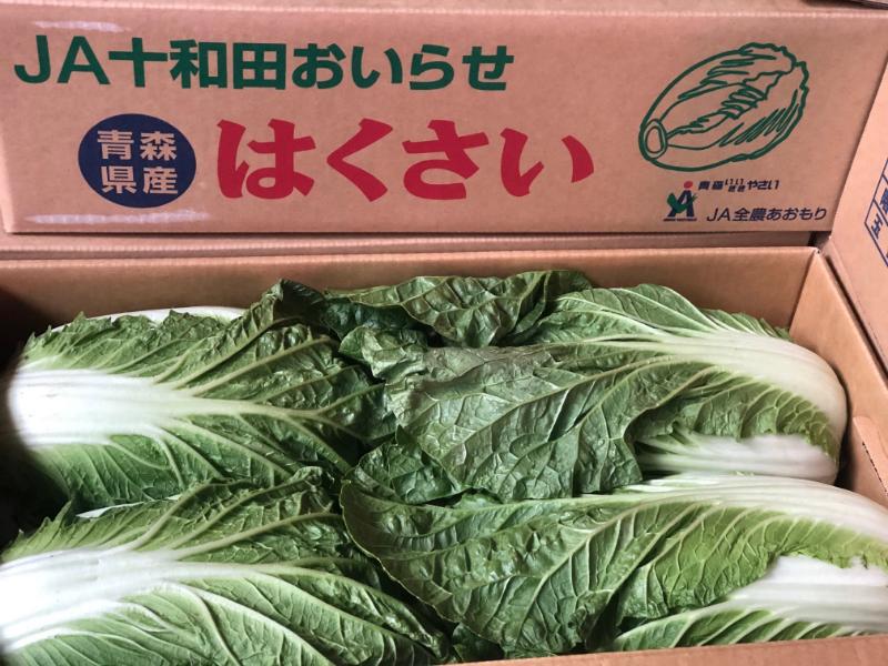 白菜