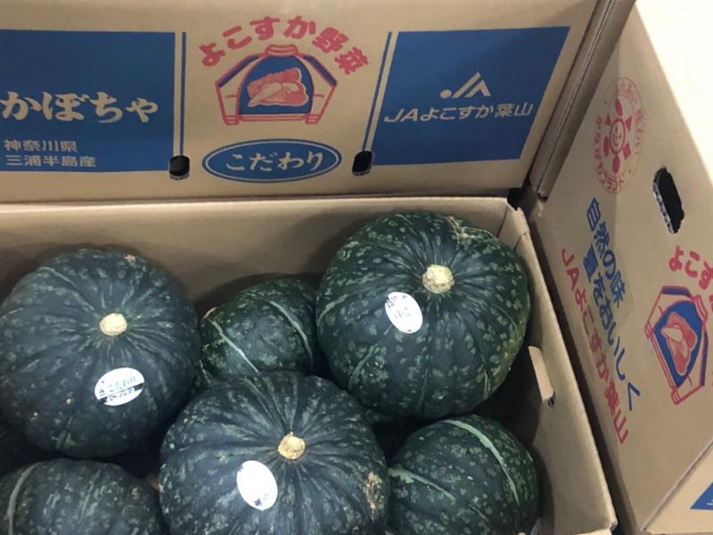 かぼちゃ