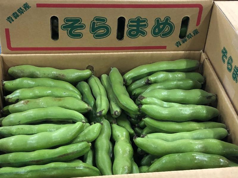 そらまめ