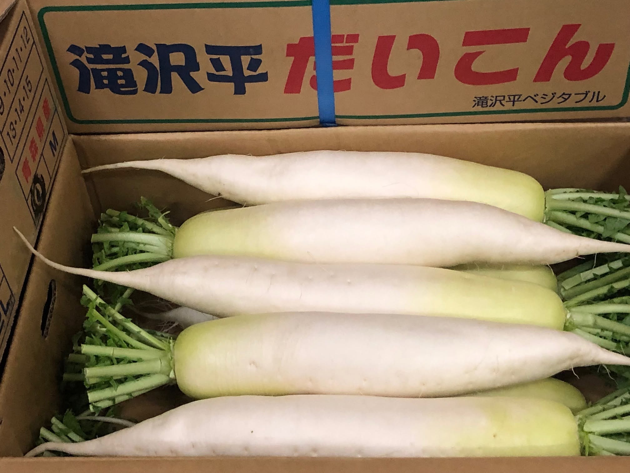 共選だいこん
