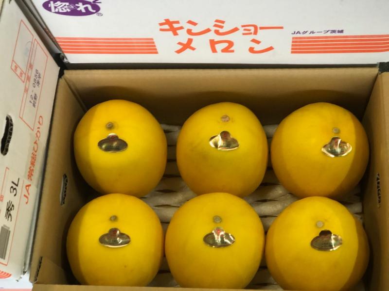 キンショーメロン