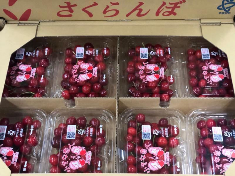 さくらんぼ