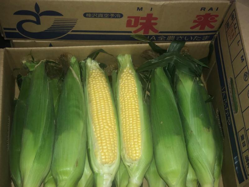 とうもろこし