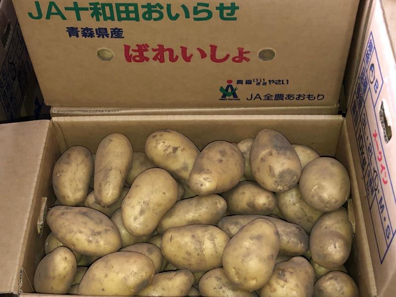 青森県産メークイン