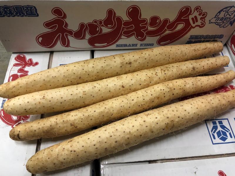 ネバリスター
