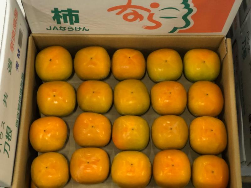 ハウス刀根早生柿