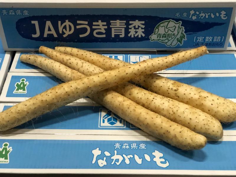 ながいも