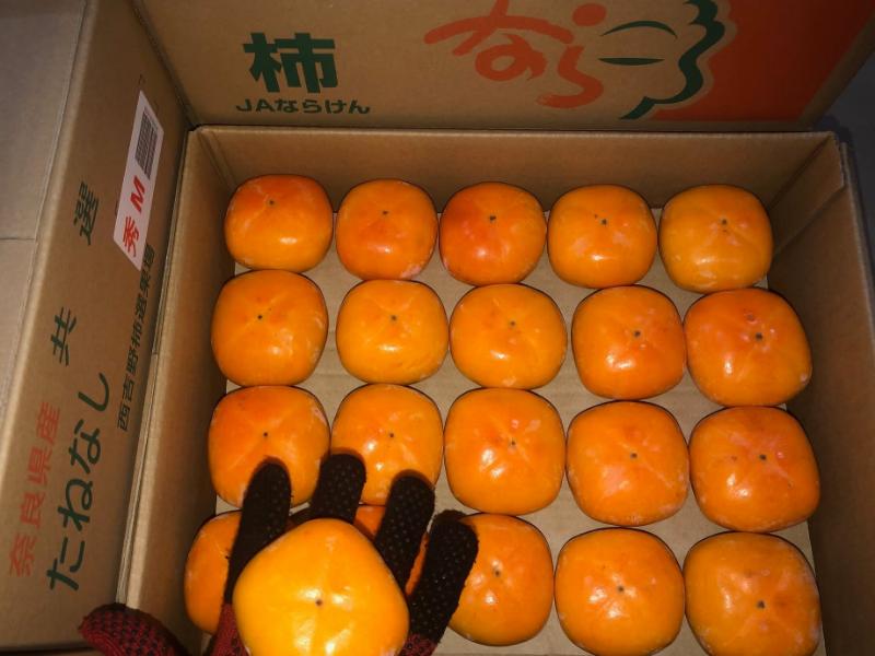 たねなし柿