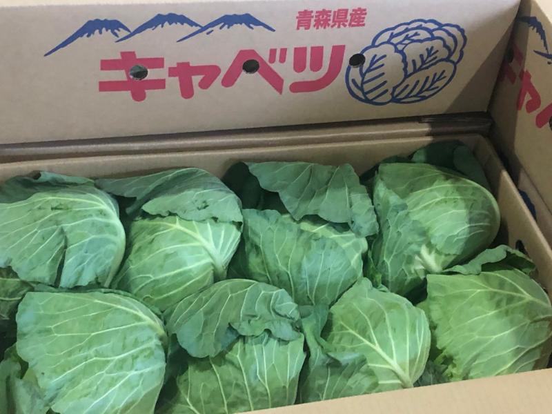 キャベツ