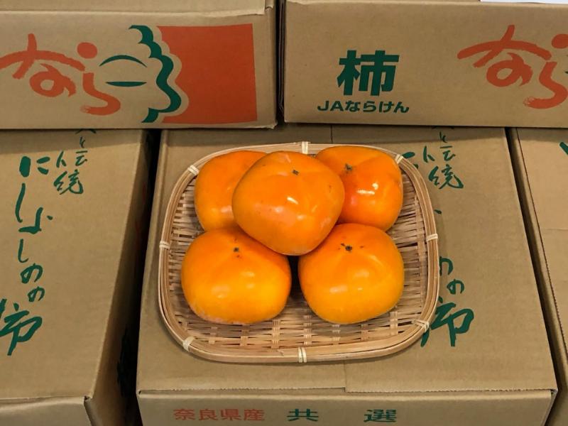 刀根早生