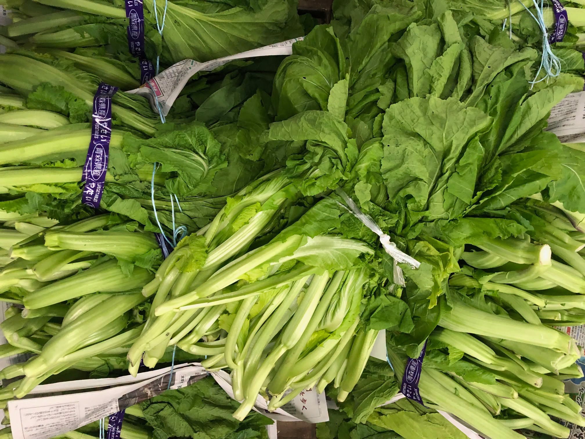 漬物用野菜