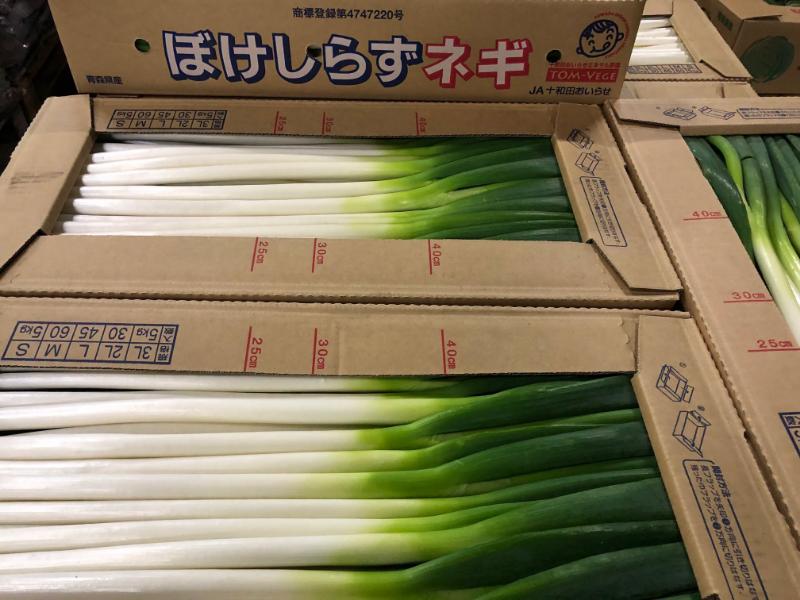 ねぎ
