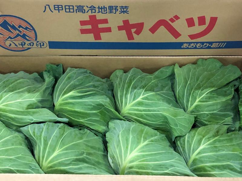 キャベツ