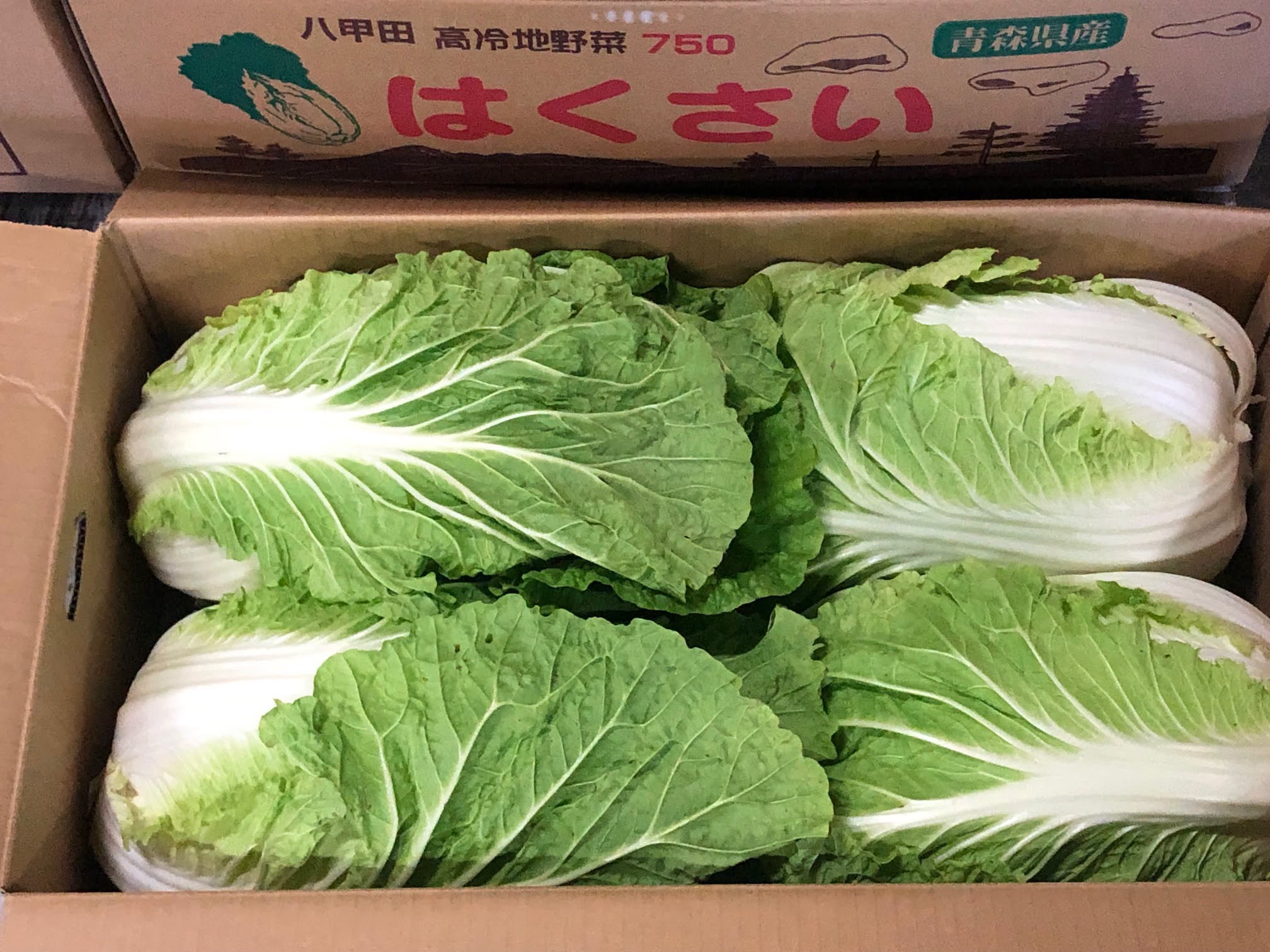 9月の販売統計