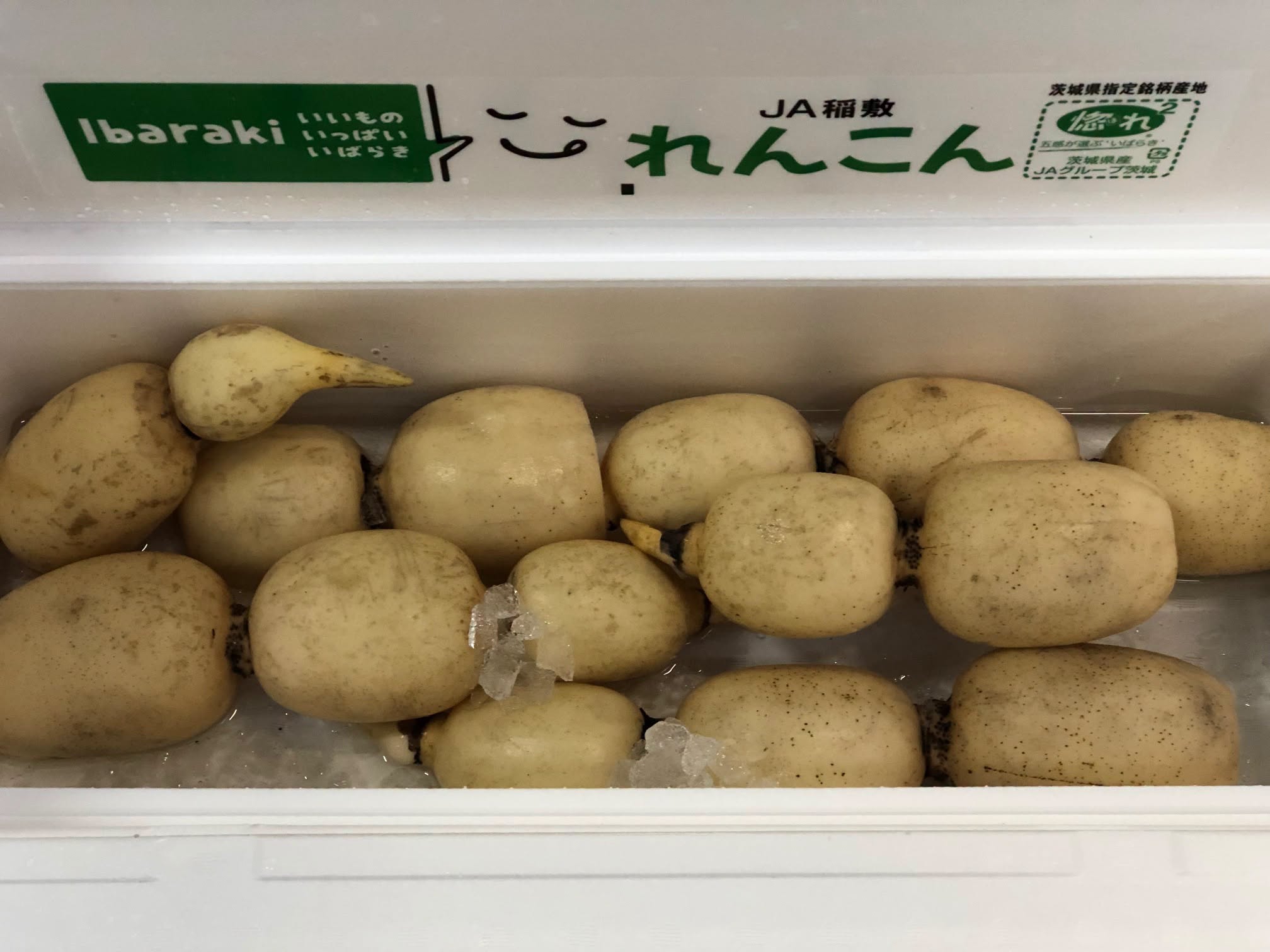 れんこん